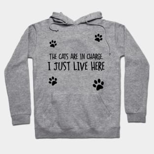 Cats Are In Charge Hoodie